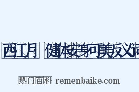 西江月·健体安身可美反义词是什么意思的图片